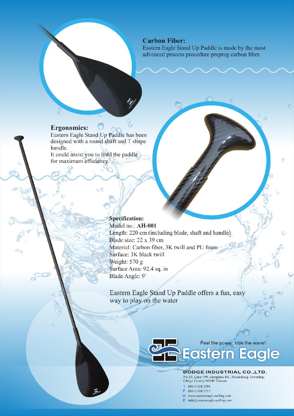 Carbon fiber SUP